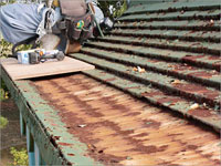 錆びだらけの銅板屋根